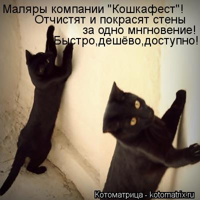 Котоматрица: Маляры компании "Кошкафест"! Отчистят и покрасят стены за одно мнгновение! Быстро,дешёво,доступно!