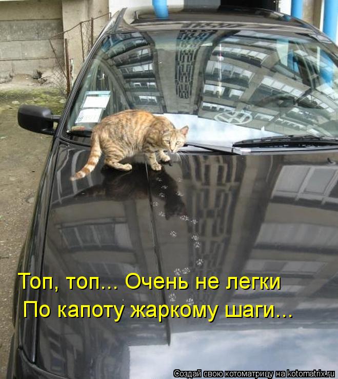 Котоматрица: Топ, топ... Очень не легки По капоту жаркому шаги...
