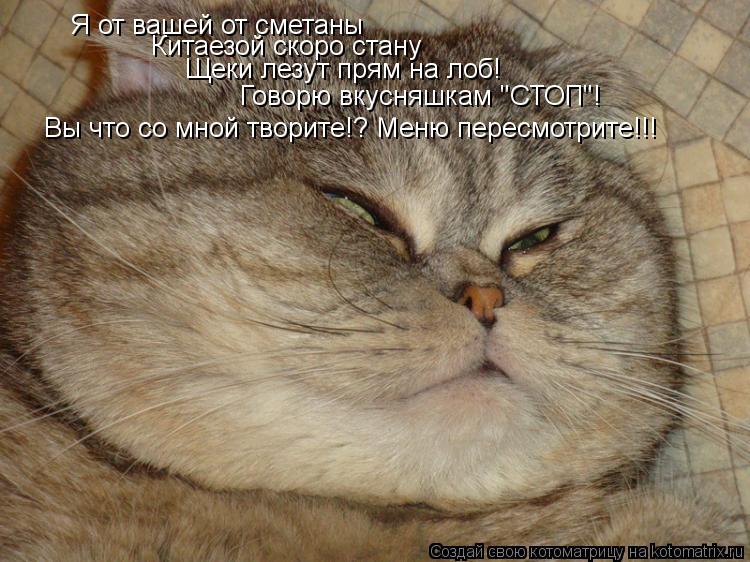 Котоматрица: Я от вашей от сметаны Китаезой скоро стану Щеки лезут прям на лоб! Говорю вкусняшкам "СТОП"! Вы что со мной творите!? Меню пересмотрите!!!