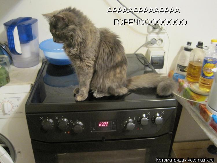 Котоматрица: АААААААААААААА ГОРЕЧОООООООО