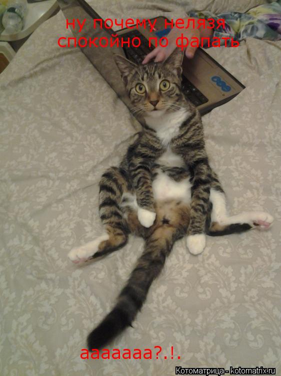 Котоматрица: ну почему нелязя  спокойно по фапать ааааааа?.!.