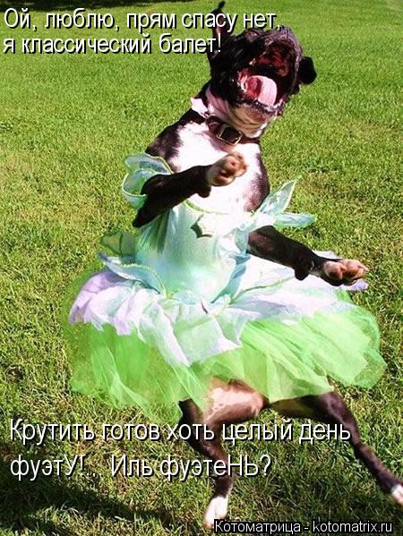 Котоматрица: Ой, люблю, прям спасу нет, я классический балет! Крутить готов хоть целый день фуэтУ!... Иль фуэтеНЬ?