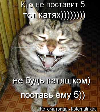 Котоматрица: Кто не поставит 5, тот катях)))))))) не будь катяшком) поставь ему 5))