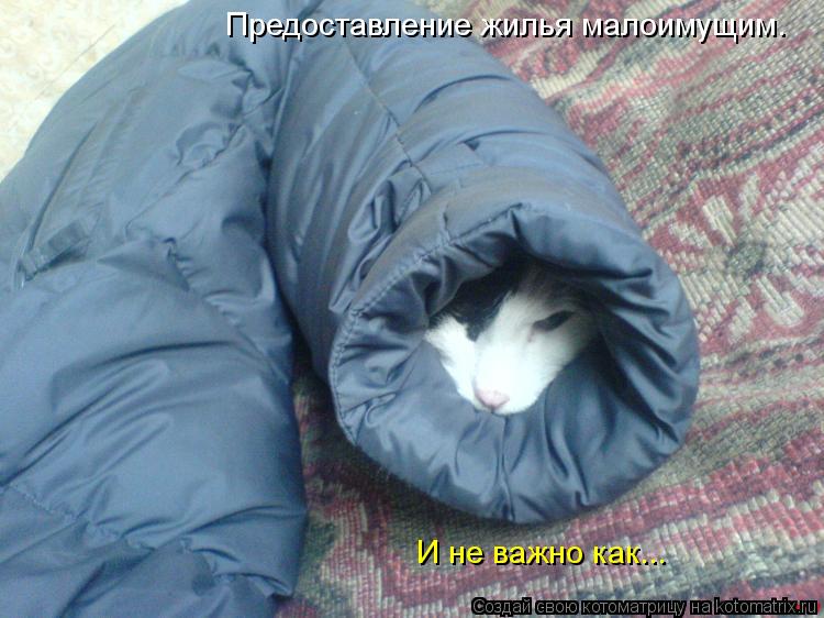 Котоматрица: Предоставление жилья малоимущим. И не важно как...