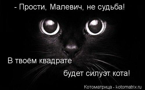 Котоматрица: - Прости, Малевич, не судьба! В твоём квадрате будет силуэт кота!