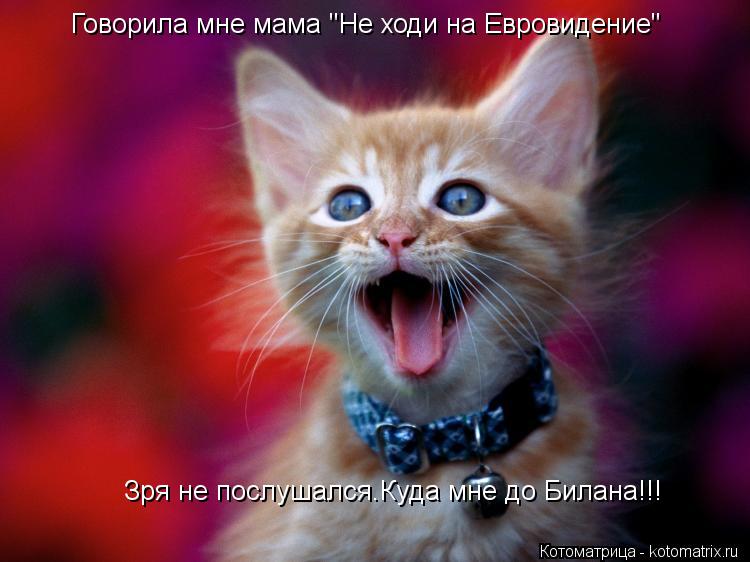 Говорила мне мама "Не ходи на Евровидение" Зря не послушался.Куда мне до Билана!!!... Котоматрица: Говорила мне мама "Не ходи на Евровидение" Зря не послушался.Куда мне до Билана!!!