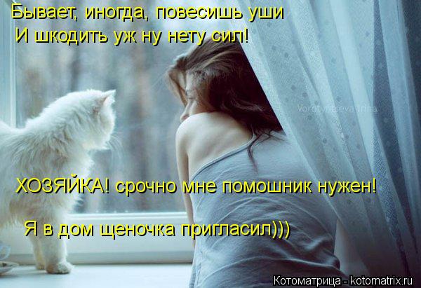Котоматрица: Бывает, иногда, повесишь уши И шкодить уж ну нету сил! ХОЗЯЙКА! срочно мне помошник нужен! Я в дом щеночка пригласил)))