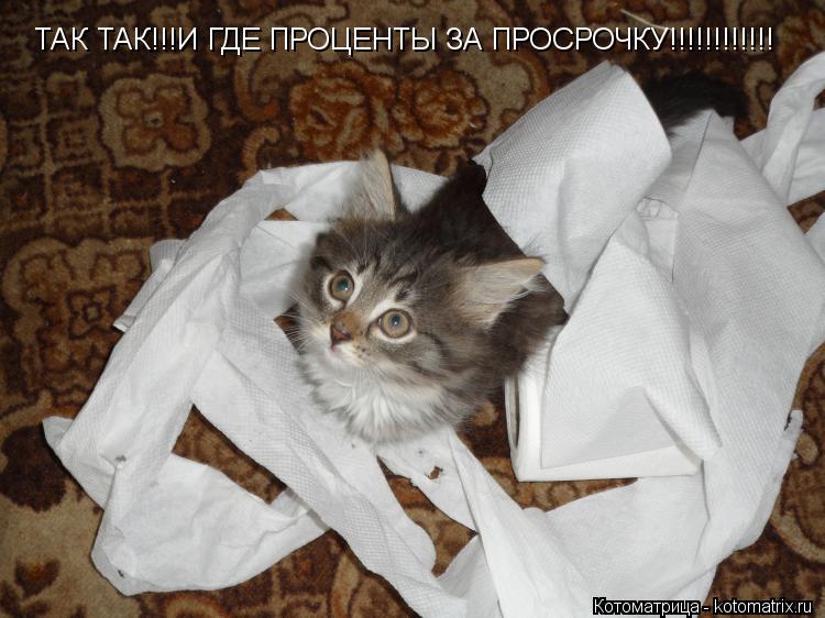 Котоматрица: ТАК ТАК!!!И ГДЕ ПРОЦЕНТЫ ЗА ПРОСРОЧКУ!!!!!!!!!!!!