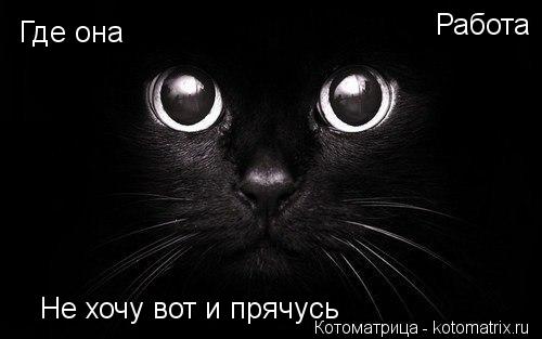 Котоматрица: Где она Работа Не хочу вот и прячусь