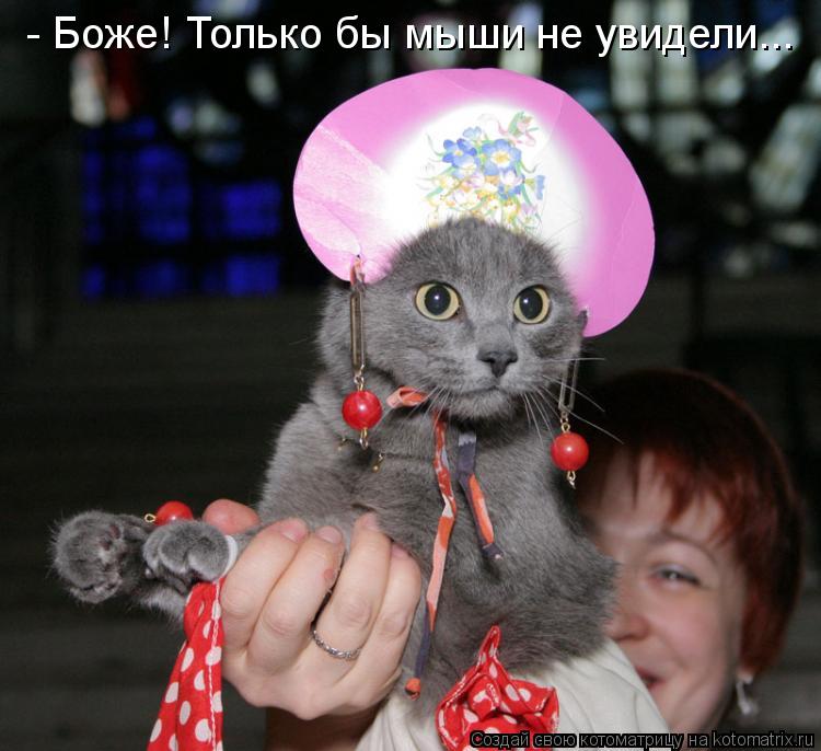 Котоматрица: - Боже! Только бы мыши не увидели...