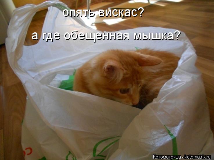 Котоматрица: опять вискас? а где обещенная мышка?