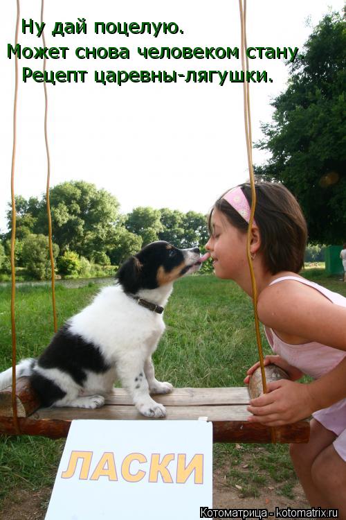 Котоматрица: Ну дай поцелую. Может снова человеком стану. Рецепт царевны-лягушки.