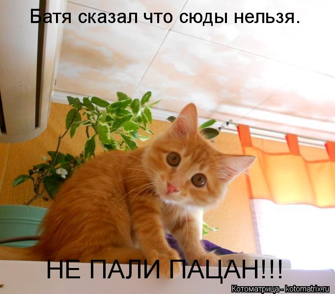 Котоматрица: Батя сказал что сюды нельзя. НЕ ПАЛИ ПАЦАН!!!