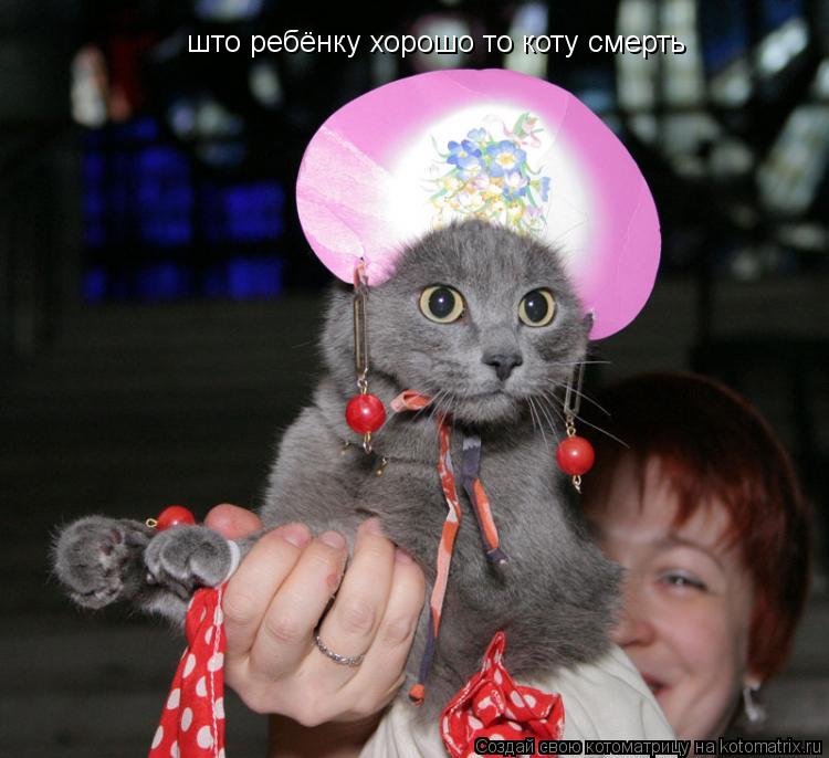 Котоматрица: што ребёнку хорошо то коту смерть