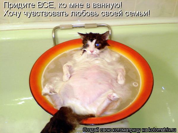 Придите ВСЕ, ко мне в ванную! Хочу чувствовать любовь своей семьи!... Котоматрица: Придите ВСЕ, ко мне в ванную! Хочу чувствовать любовь своей семьи!