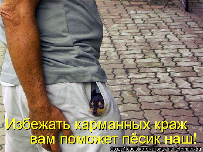 Избежать карманных краж вам поможет пёсик наш!... Котоматрица: Избежать карманных краж вам поможет пёсик наш!