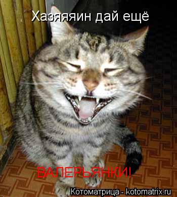 Хазяяяин дай ещё ВАЛЕРЬЯНКИ!... Котоматрица: Хазяяяин дай ещё ВАЛЕРЬЯНКИ!