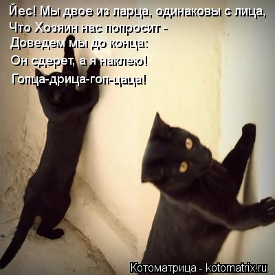 Котоматрица: Йес! Мы двое из ларца, одинаковы с лица, Что Хозяин нас попросит -  Доведем мы до конца: Он сдерет, а я наклею! Гопца-дрица-гоп-цаца!
