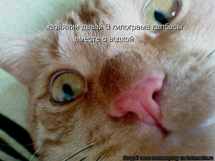 хазяяяин давай 3 килограма калбасы вместе с водкой... Котоматрица: хазяяяин давай 3 килограма калбасы вместе с водкой