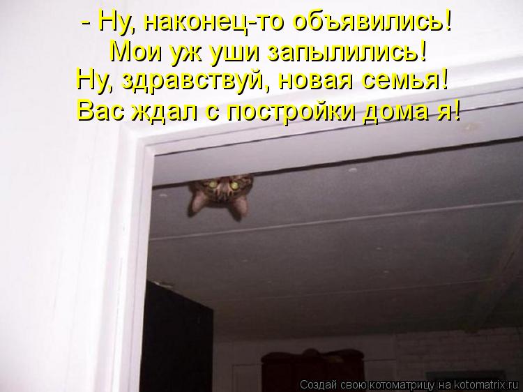 Котоматрица: - Ну, наконец-то объявились! Мои уж уши запылились! Ну, здравствуй, новая семья! Вас ждал с постройки дома я!