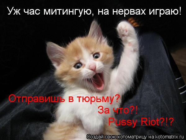 Котоматрица: Уж час митингую, на нервах играю! Отправишь в тюрьму? За что?! Pussy Riot?!?