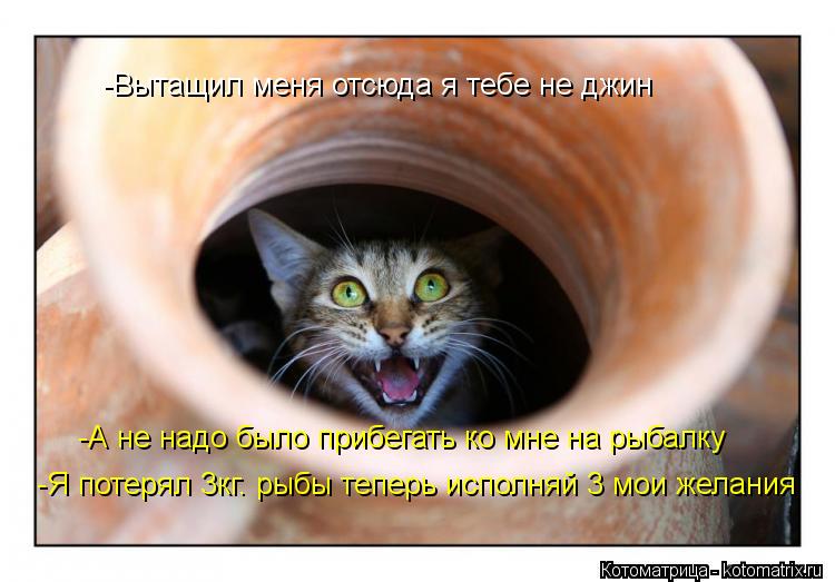 Котоматрица: Вытащ -Вытащил меня отсюда я тебе не джин -А не надо было прибегать ко мне на рыбалку -Я потерял 3кг. рыбы теперь исполняй 3 мои желания