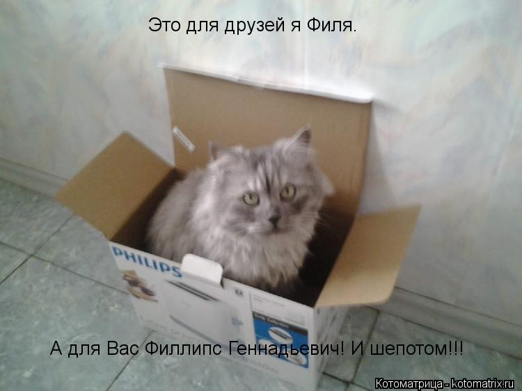 Котоматрица: Это для друзей я Филя. А для Вас Филлипс Геннадьевич! И шепотом!!!