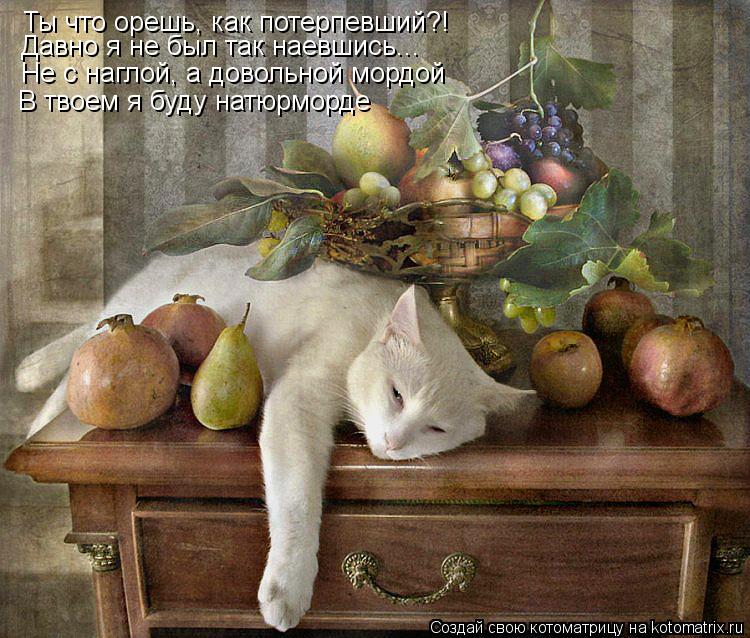 Котоматрица: Ты что орешь, как потерпевший?! Давно я не был так наевшись... Не с наглой, а довольной мордой В твоем я буду натюрморде
