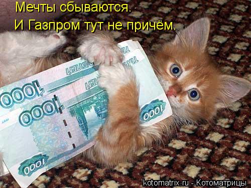 Котоматрица: Мечты сбываются. И Газпром тут не причём.