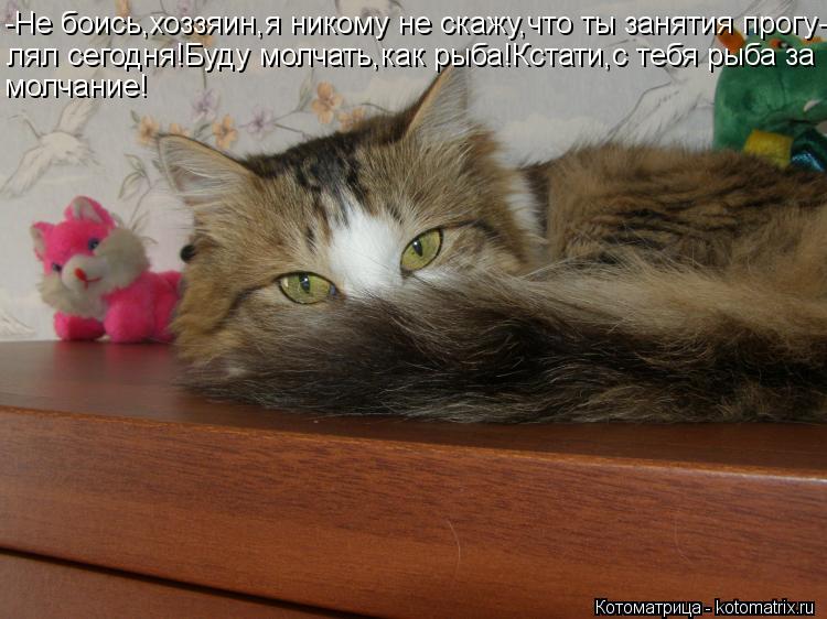Котоматрица: -Не боись,хоззяин,я никому не скажу,что ты занятия прогу- лял сегодня!Буду молчать,как рыба!Кстати,с тебя рыба за молчание!