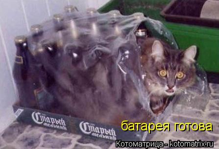 Котоматрица: батарея готова