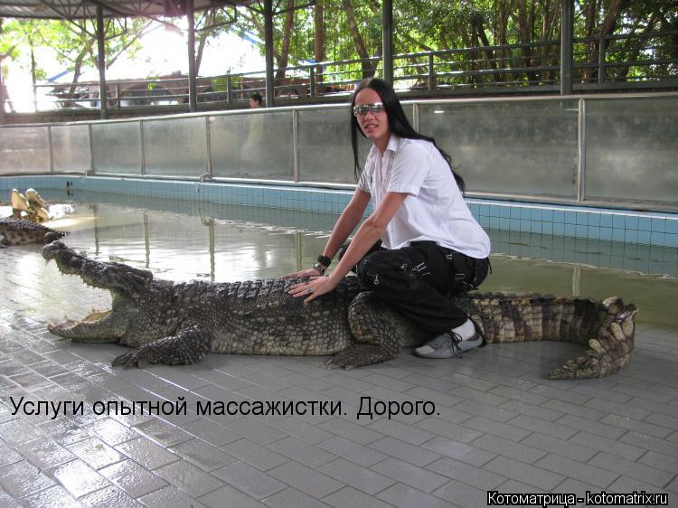 Котоматрица: Услуги опытной массажистки. Дорого.