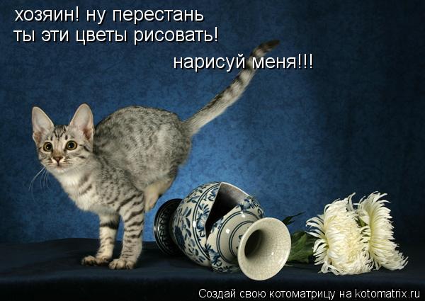 Котоматрица: хозяин! ну перестань ты эти цветы рисовать! нарисуй меня!!!