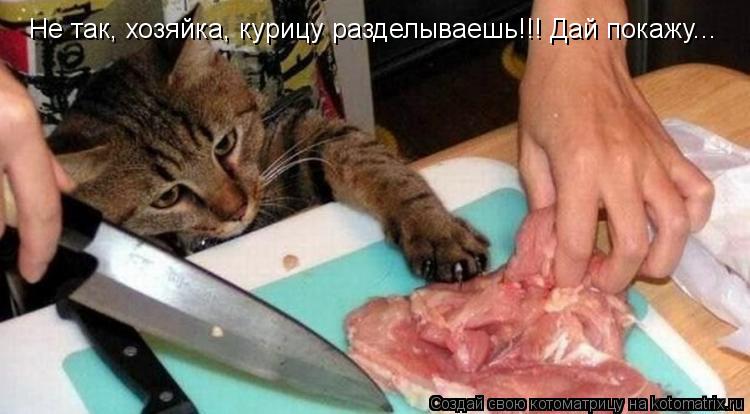 Котоматрица: Не так, хозяйка, курицу разделываешь!!! Дай покажу...