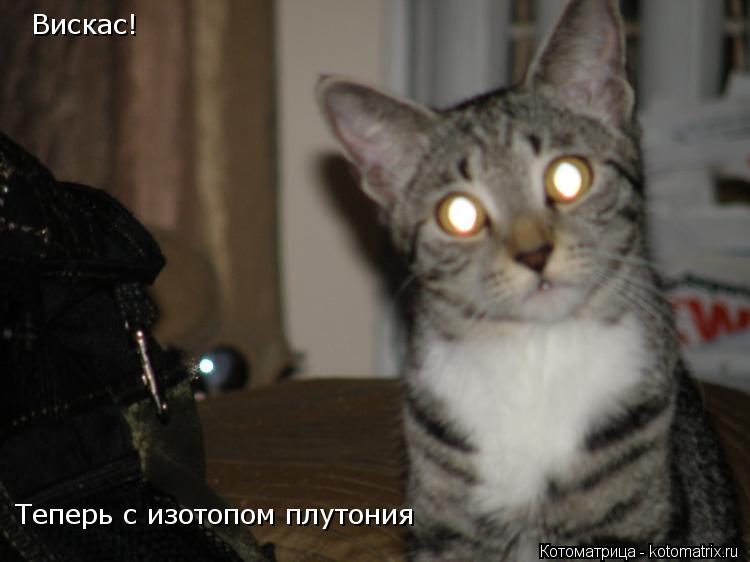 Вискас! Вискас! Теперь с изотопом плутония... Котоматрица: Вискас! Вискас! Теперь с изотопом плутония