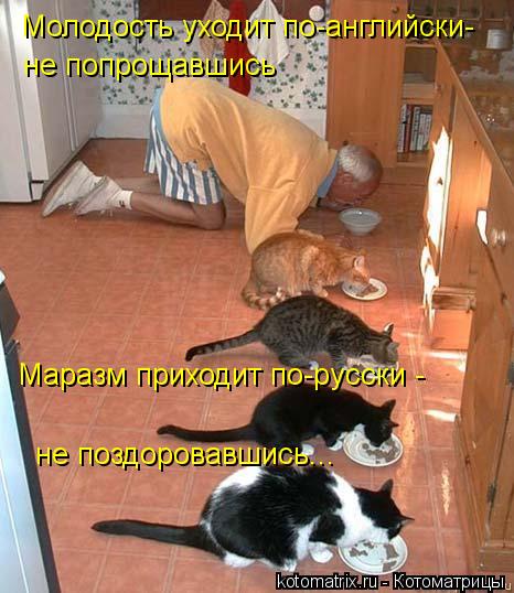 Котоматрица: Молодость уходит по-английски- не попрощавшись Маразм приходит по-русски -  не поздоровавшись...