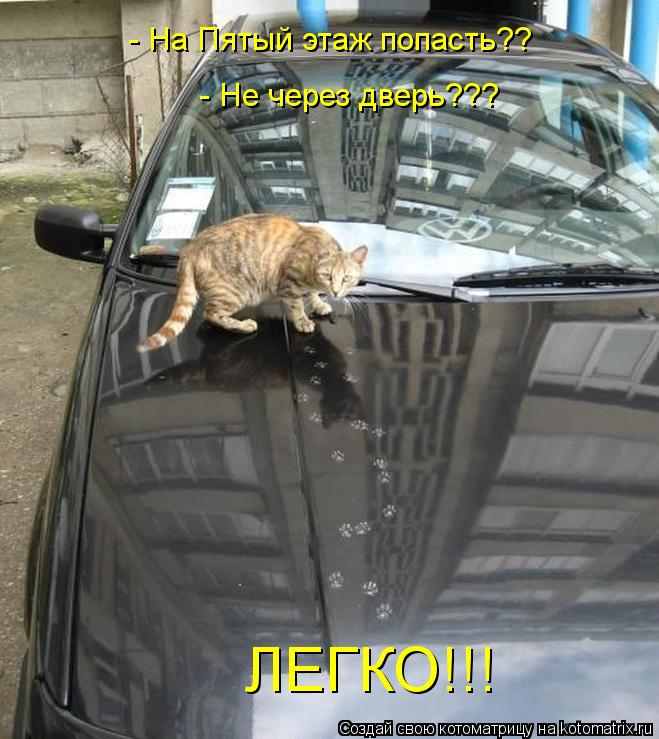 Котоматрица: - На Пятый этаж попасть??  - Не через дверь??? ЛЕГКО!!!
