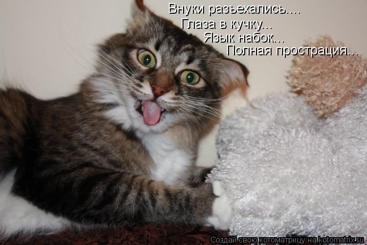 Котоматрица: Внуки разъехались.... Глаза в кучку... Язык набок... Полная прострация...