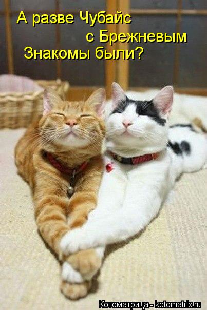 Котоматрица: А разве Чубайс    с Брежневым Знакомы были?