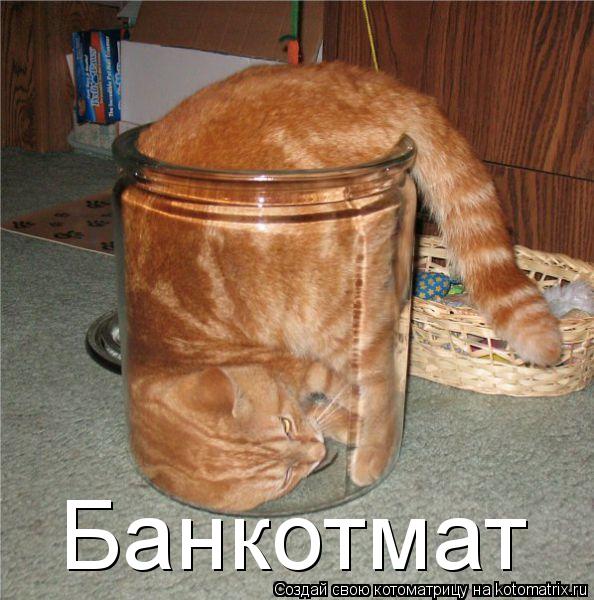 Котоматрица: Банкотмат