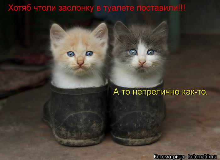 Котоматрица: А то непрелично как-то. Хотяб чтоли заслонку в туалете поставили!!!