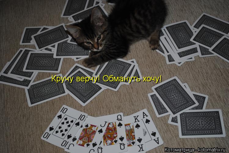 Котоматрица: Кручу верчу! Обмануть хочу!
