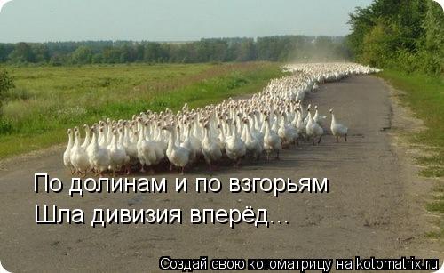 Котоматрица: По долинам и по взгорьям Шла дивизия вперёд...