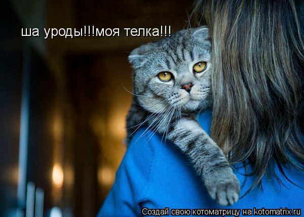 ша уроды!!!моя телка!!!... Котоматрица: ша уроды!!!моя телка!!!