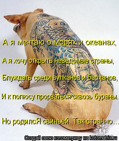 Котоматрица: А я мечтаю о морях и океанах,  А я хочу открыть неведомые страны, Блуждать среди вулканов и барханов,  И к полюсу прорваться сквозь бураны. Но 