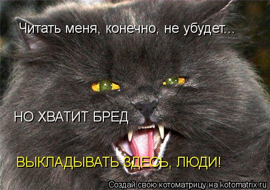 Котоматрица: Читать меня, конечно, не убудет... НО ХВАТИТ БРЕД ВЫКЛАДЫВАТЬ ЗДЕСЬ, ЛЮДИ!