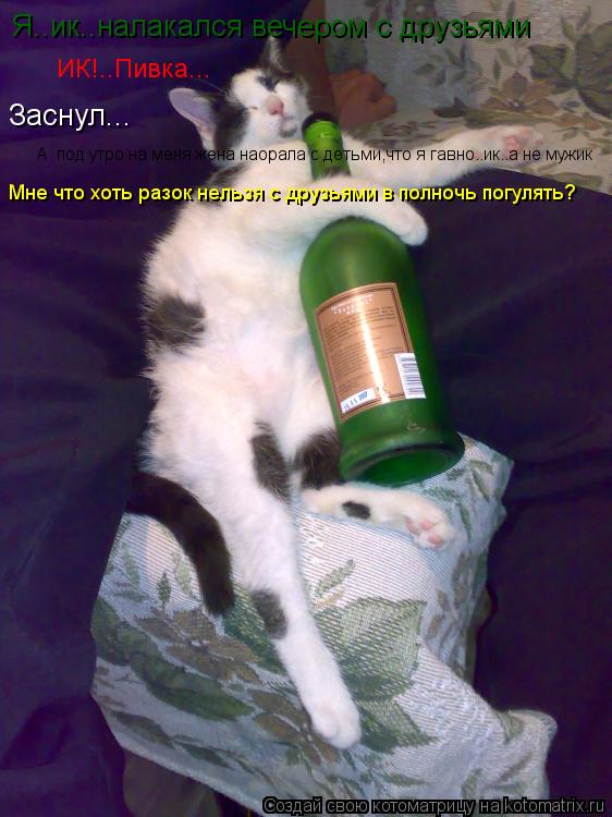 Котоматрица: Я..ик..налакался вечером с друзьями ИК!..Пивка... Заснул... А  под утро на меня жена наорала с детьми,что я гавно..ик..а не мужик Мне что хоть разок