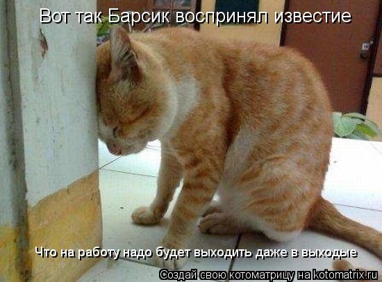 Котоматрица: Вот так Барсик воспринял известие Что на работу надо будет выходить даже в выходые