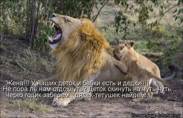Котоматрица: Жена!!! У наших деток и бабки есть и дедки!!!! Не пора ль нам отдохнуть? Деток скинуть на чуть-чуть... Через годик заберем...дядек-тетушек найдем..