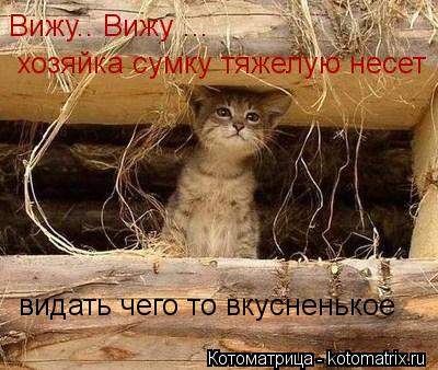 Котоматрица: Вижу.. Вижу ... хозяйка сумку тяжелую несет видать чего то вкусненькое